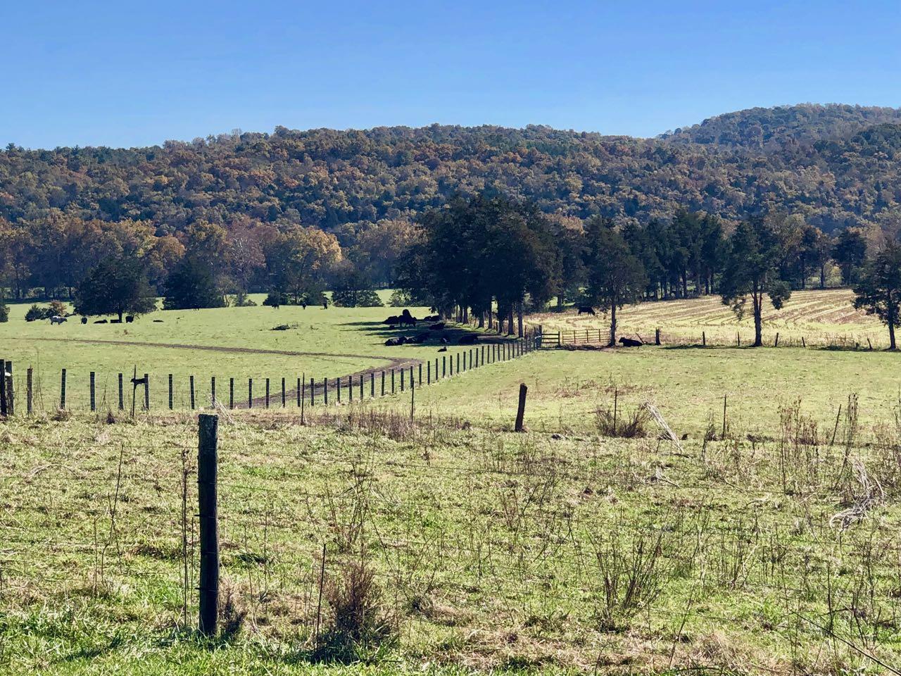 2422 Poor Farm Road Fincastle, VA 24090 - Photo 58 of 61 PoorFarmRd - 21
