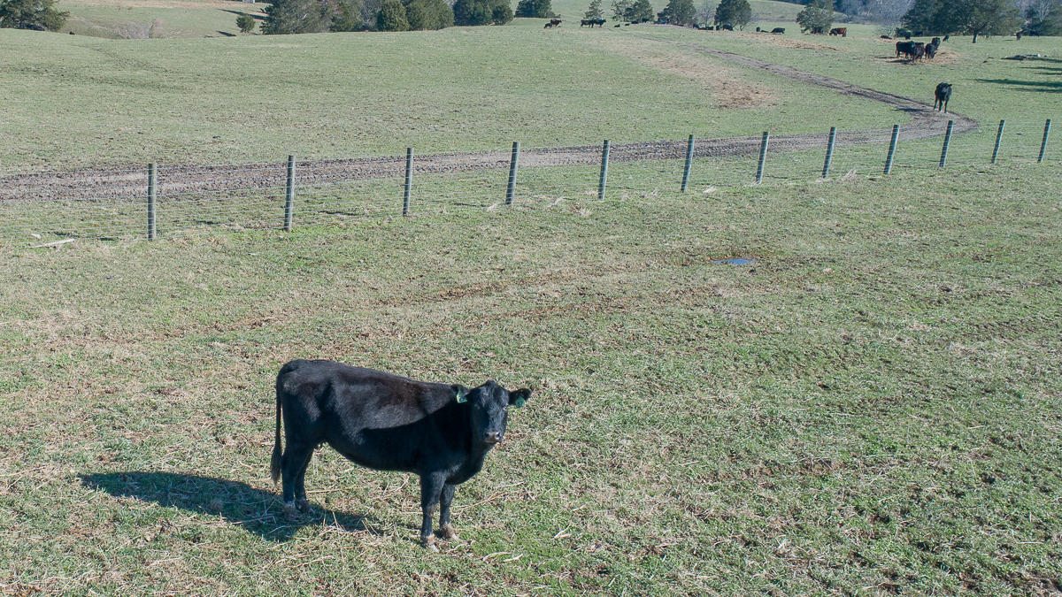 2422 Poor Farm Road Fincastle, VA 24090 - Photo 60 of 61 253 acres