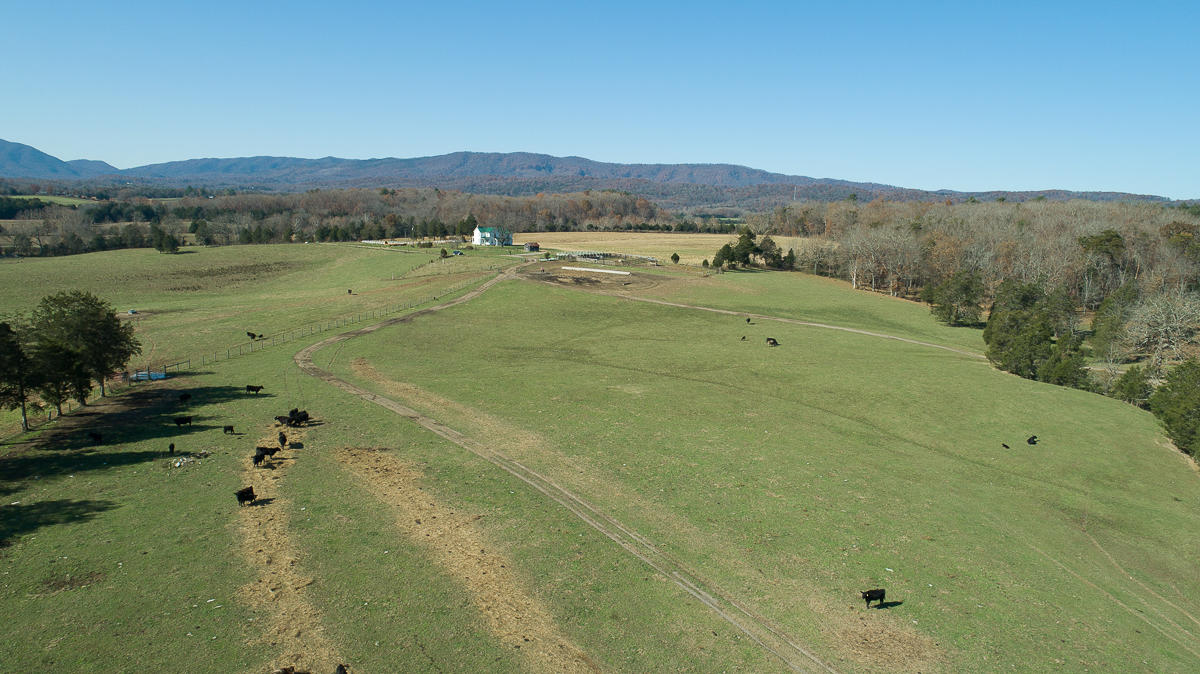 2422 Poor Farm Road Fincastle, VA 24090 - Photo 10 of 61 Aerial view