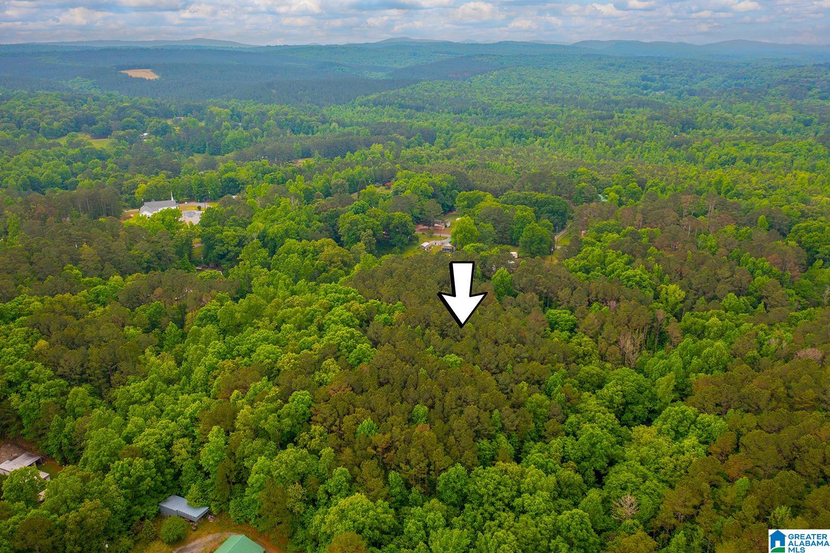 0 Spunky Hollow Road, Unit 1 Trafford, AL 35172 - Photo 10 of 18