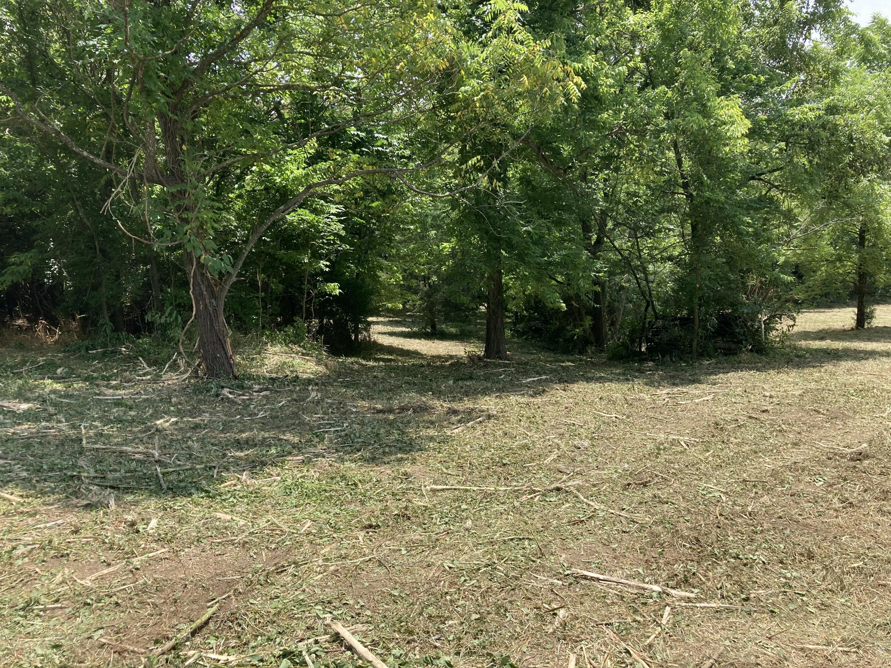 5 Tom Hackley Road Danville, KY 40422 - Photo 5 of 8 IMG_3894 2