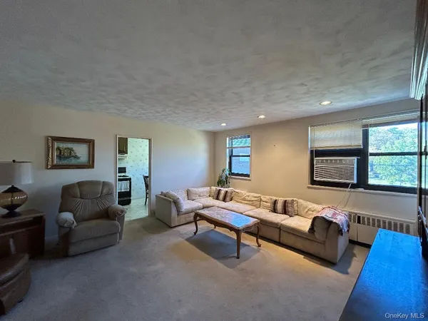 a living room with furniture and a couch