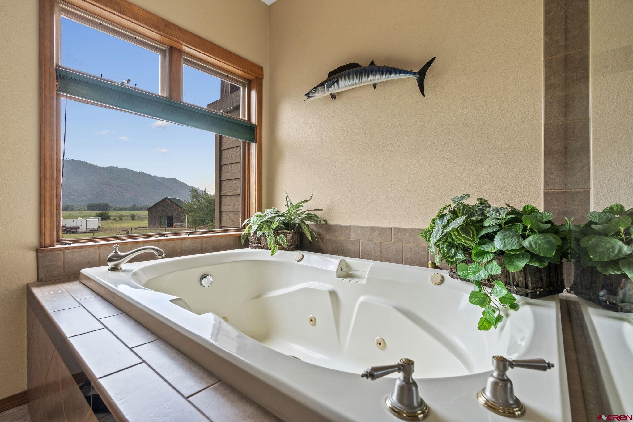 33140 Highway 550 Durango, CO 81301 - Photo 29 of 38 a bath tub sitting next to a window