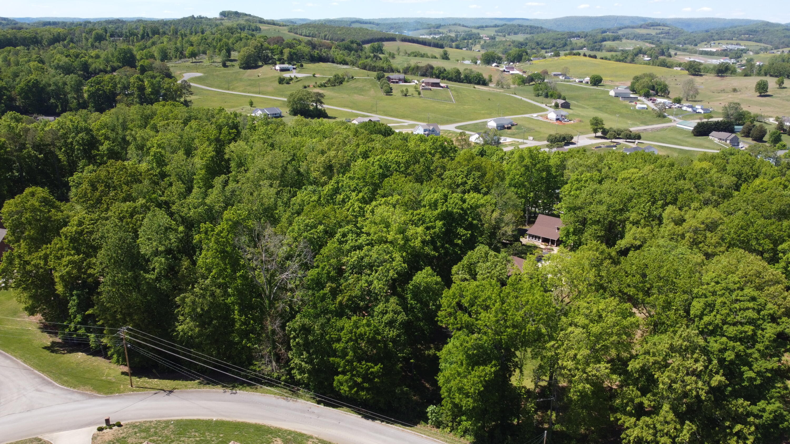 139 Pheasant View Rutledge, TN 37861 - Photo 53 of 71 DJI_0177