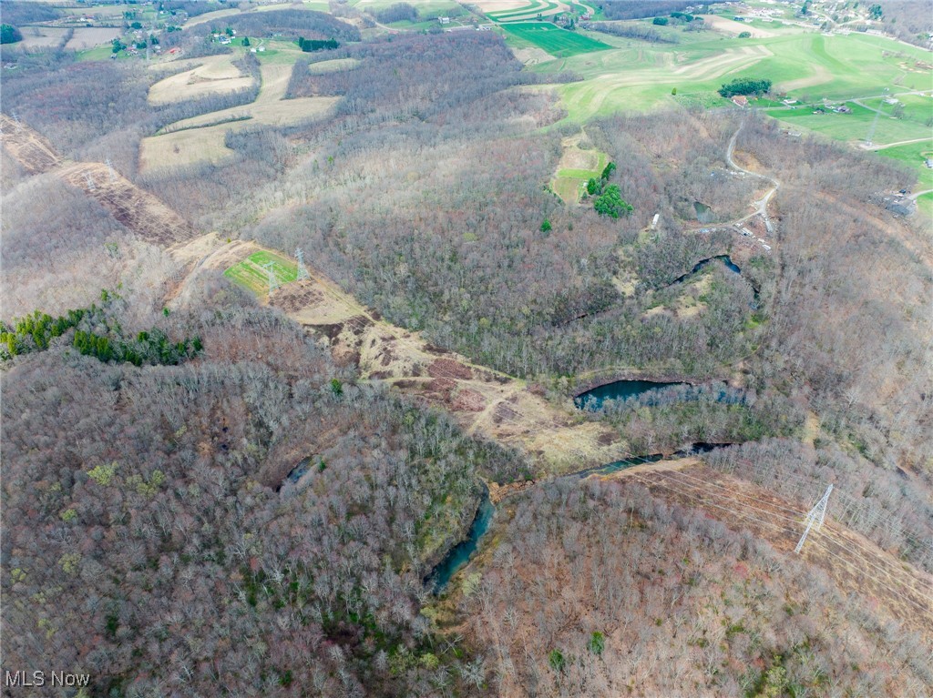 Oak Ridge Road Wellsville, OH 43968 - Photo 27 of 45 Birds eye view of property