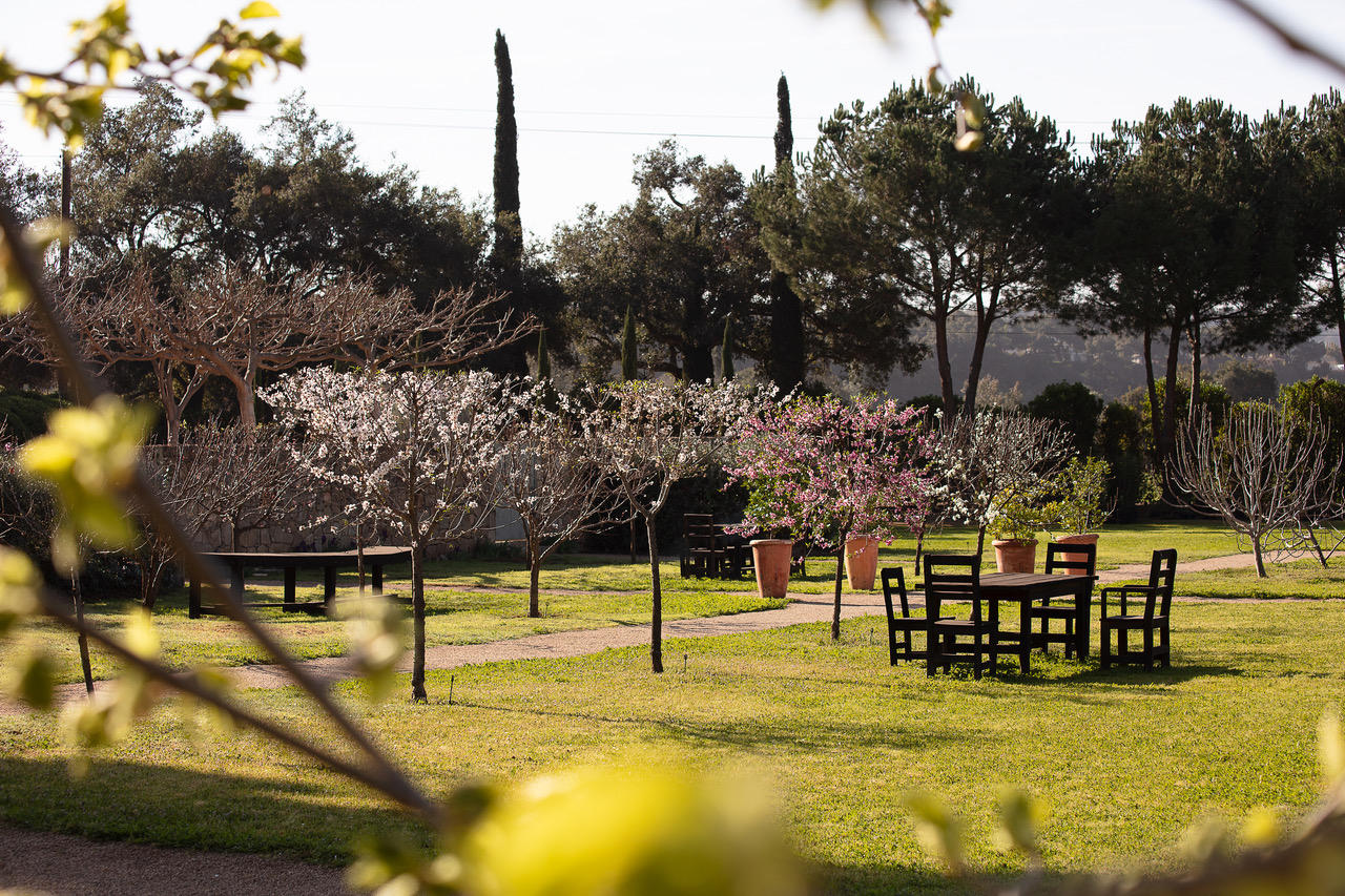 353 Old Baldwin Road Ojai, CA 93023 - Photo 4 of 16 OB Orchard