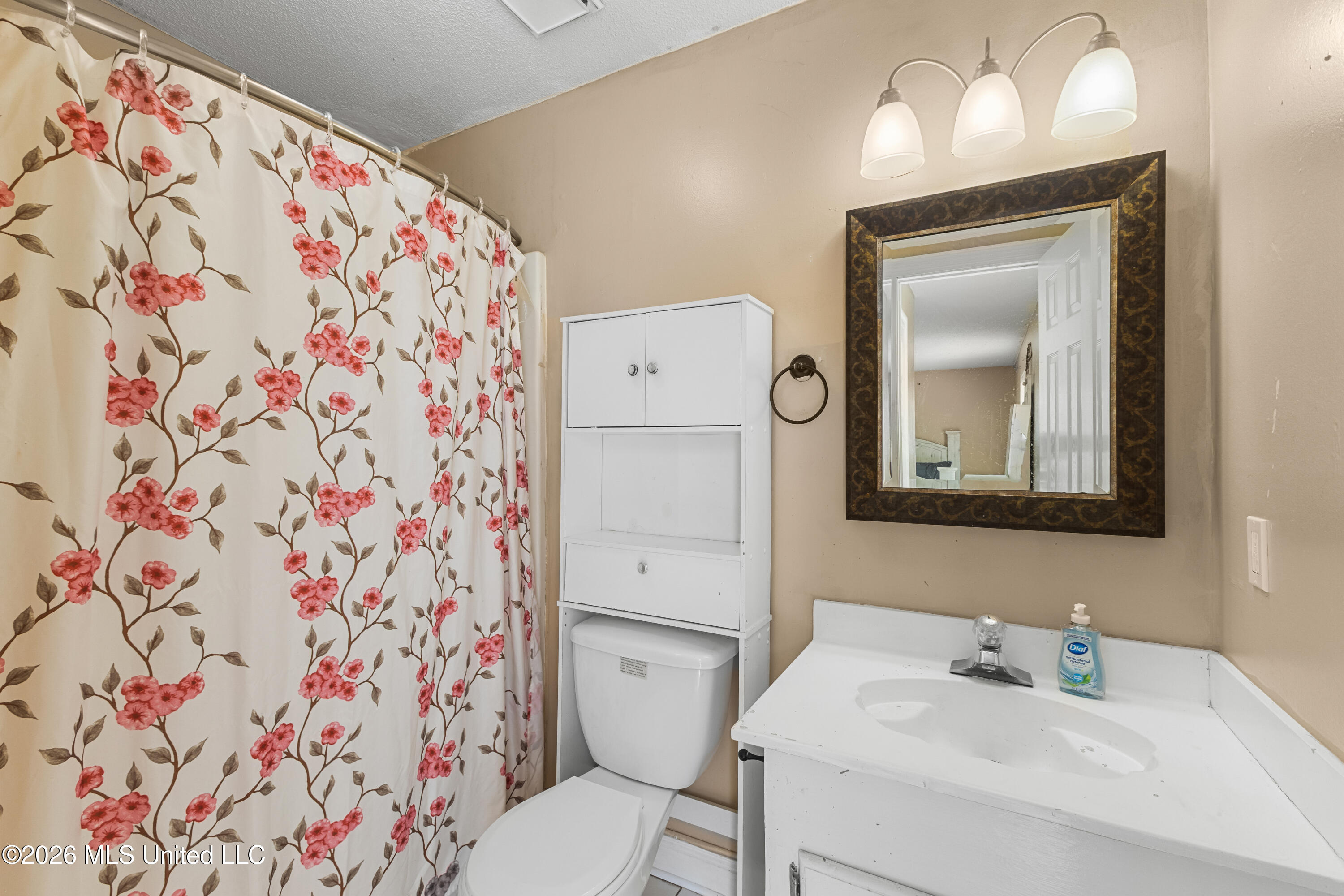 301 Ridgeview Drive Carriere, MS 39426 - Photo 17 of 42 Primary Bathroom