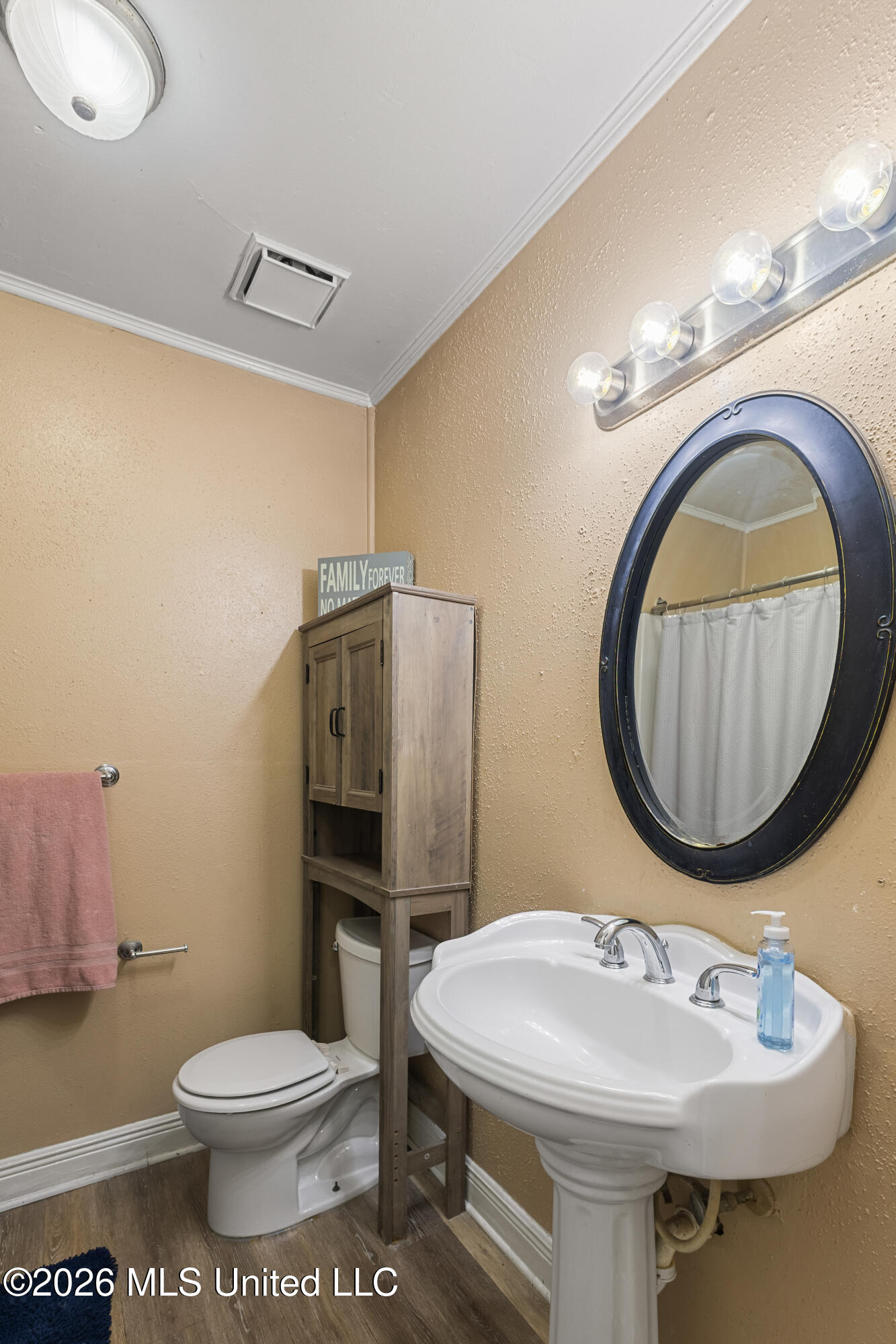 301 Ridgeview Drive Carriere, MS 39426 - Photo 21 of 42 Hall Bathroom