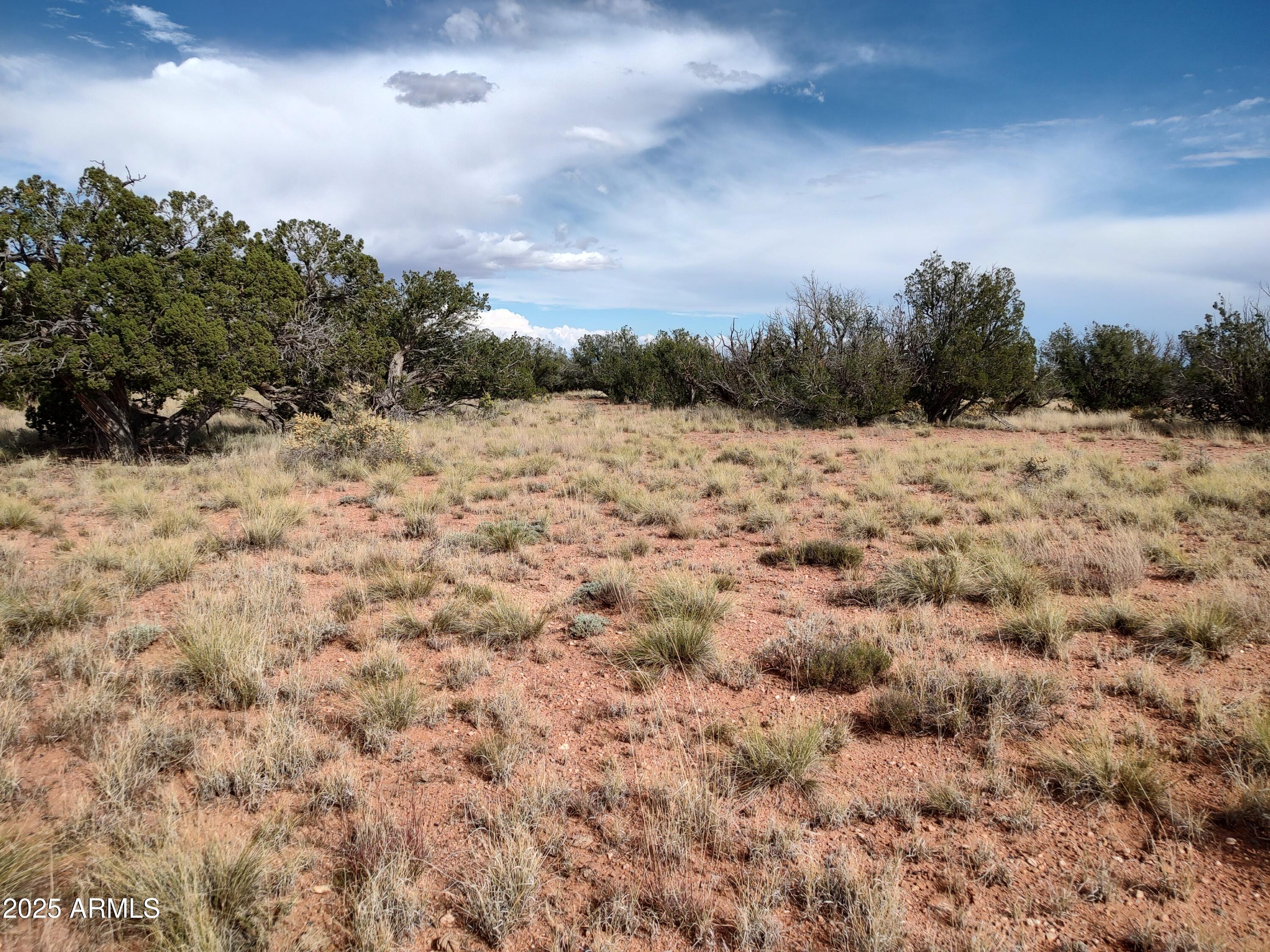 010a St Heber Az 85928, Unit 9 Heber, AZ 85928 - Photo 3 of 13 a view of a dry yard with trees