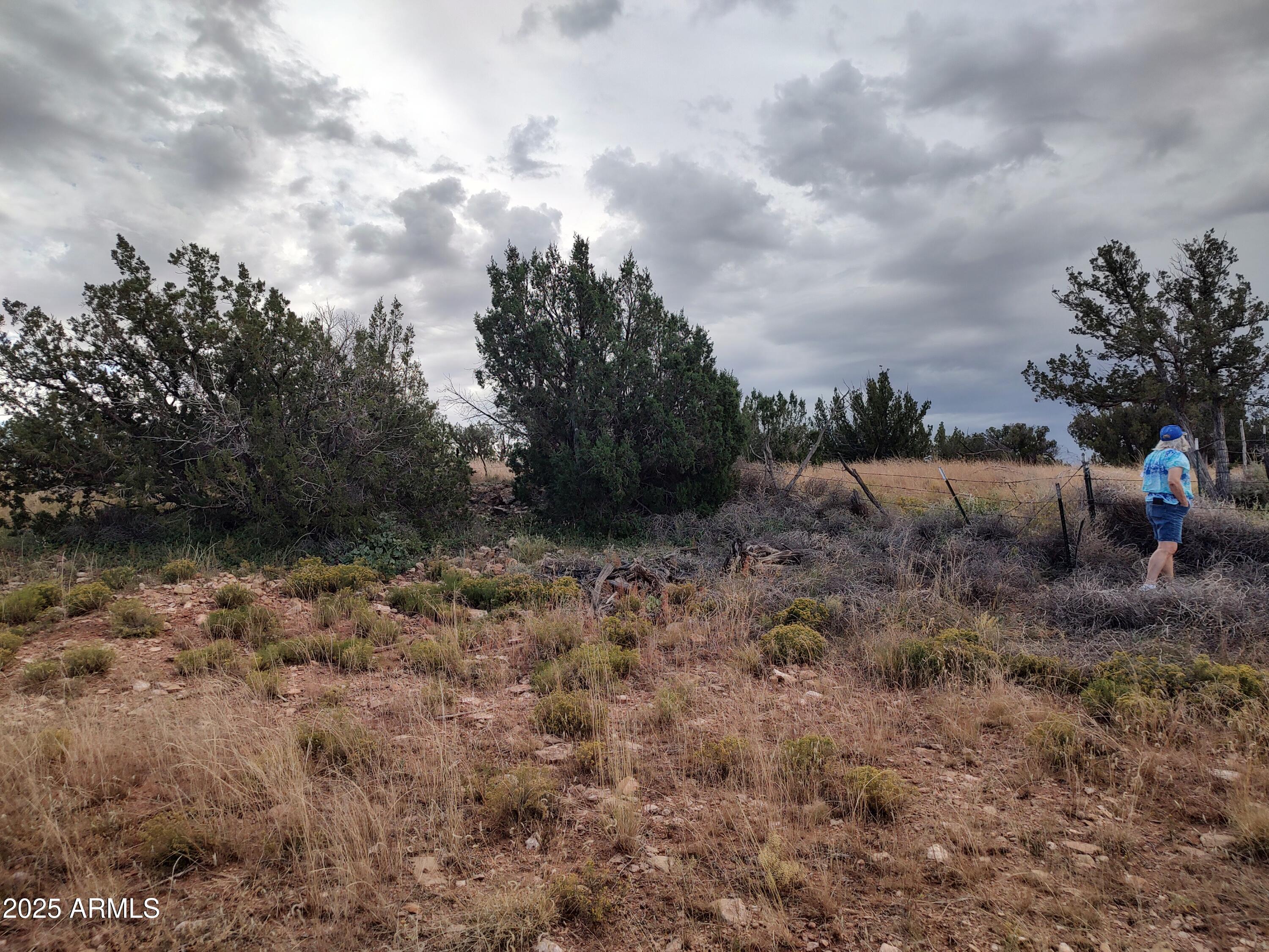 010a St Heber Az 85928, Unit 9 Heber, AZ 85928 - Photo 4 of 13