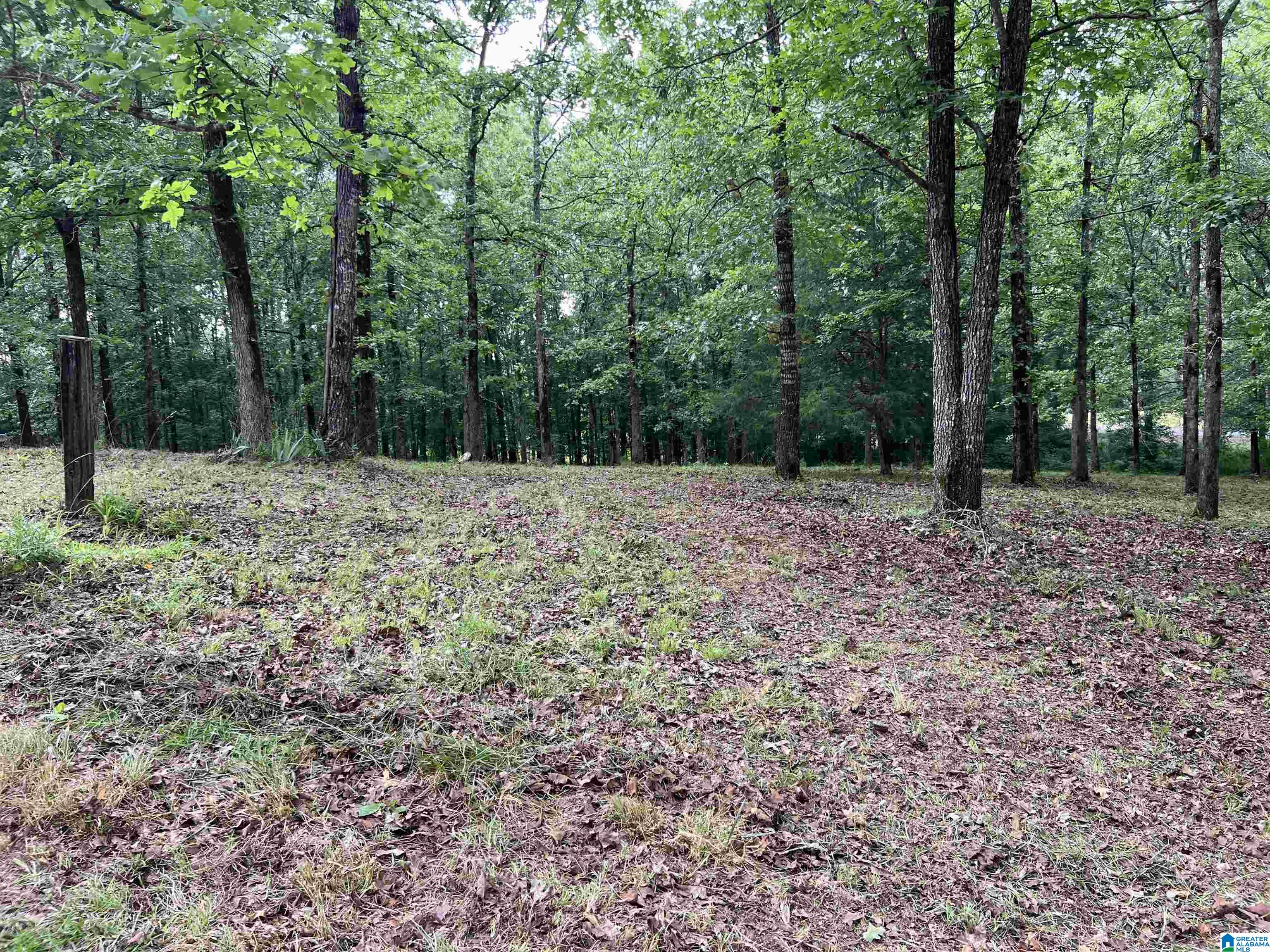 330 Mitchellville Road Ohatchee, AL 36271 - Photo 8 of 10