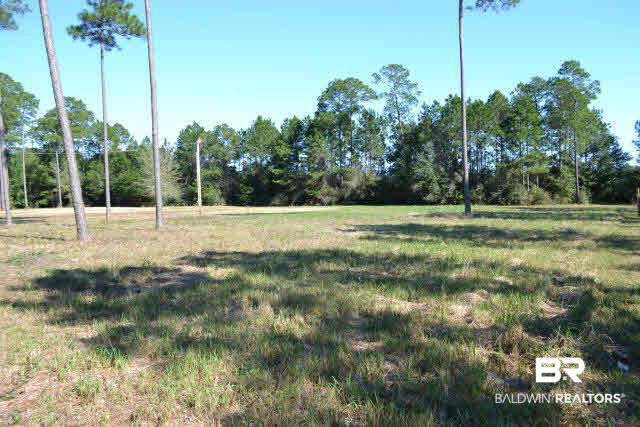 29409 Archie Road Elberta, AL 36530 - Photo 1 of 20