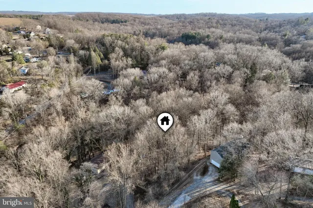 a view of a dry yard