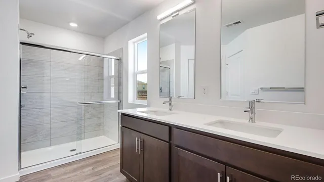 a bathroom with a shower sink and mirror
