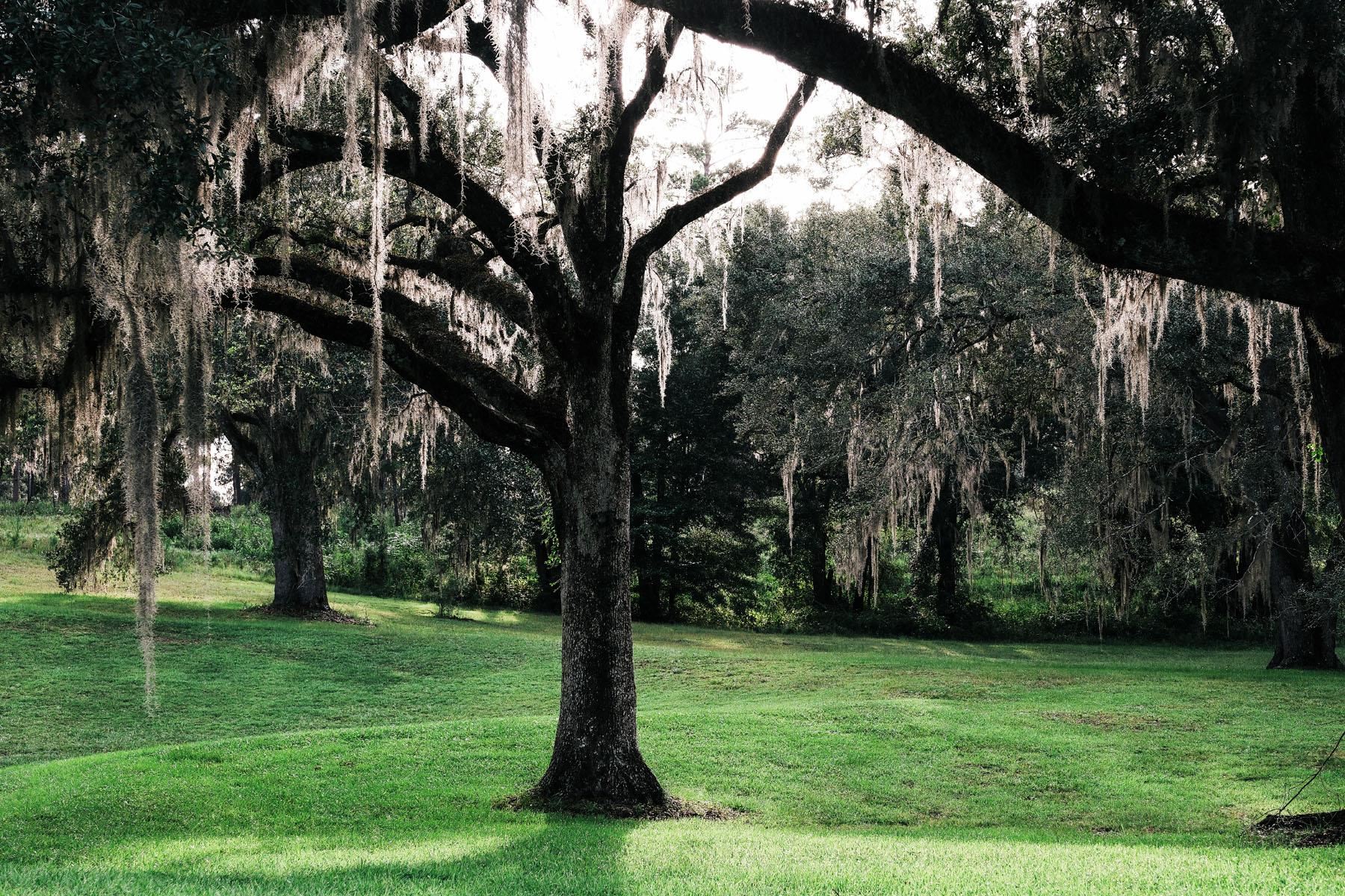 10800 McCracken Road Tallahassee, FL 32309 - Photo 20 of 49