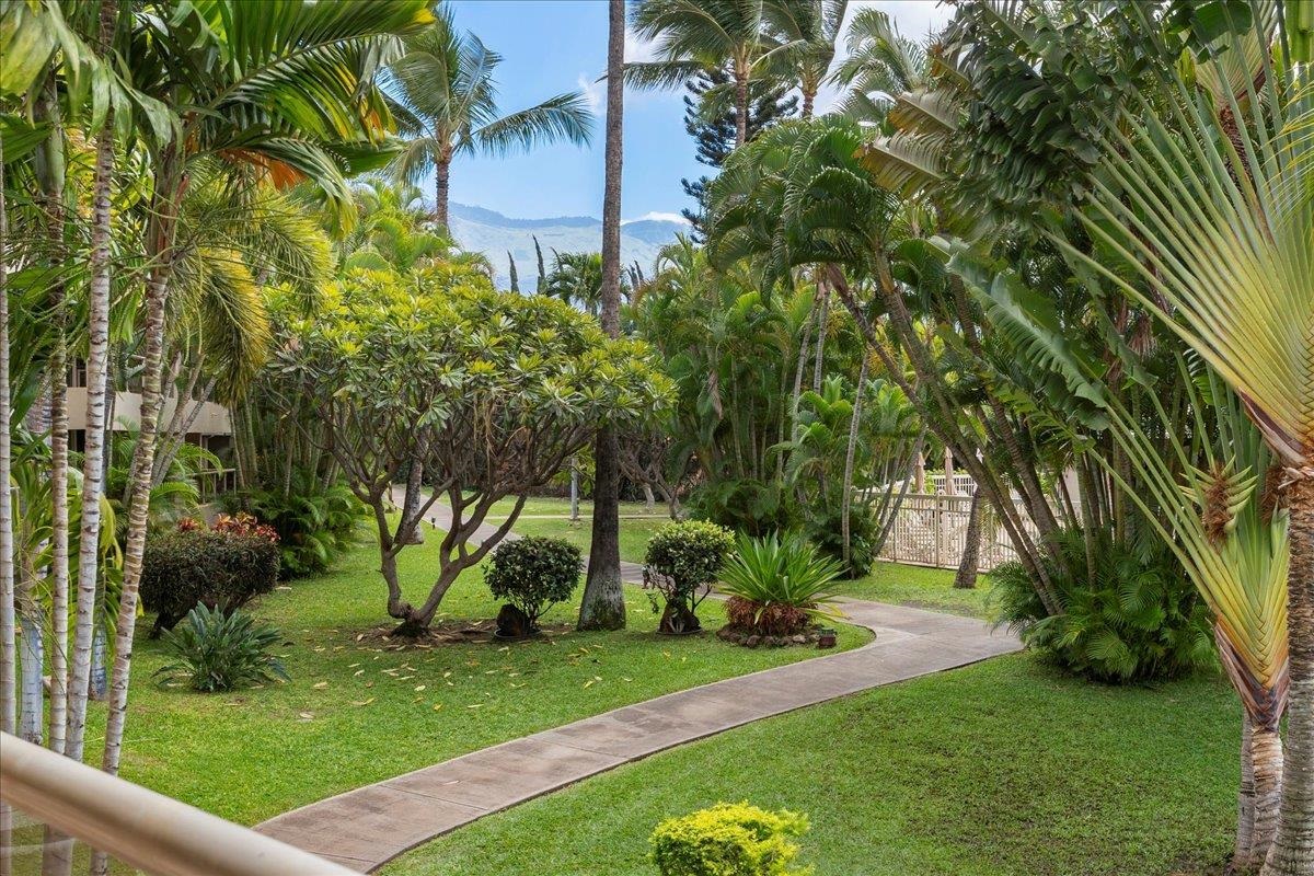 2575 South Kihei Road, Unit Q209 Kihei, HI 96753 - Photo 28 of 37 Gallery Image 28