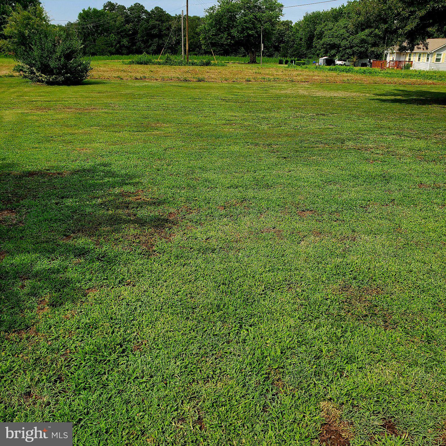 204 Chatham Village Road Montross, VA 22520 - Photo 8 of 31 Lush green expanse awaits your vision.