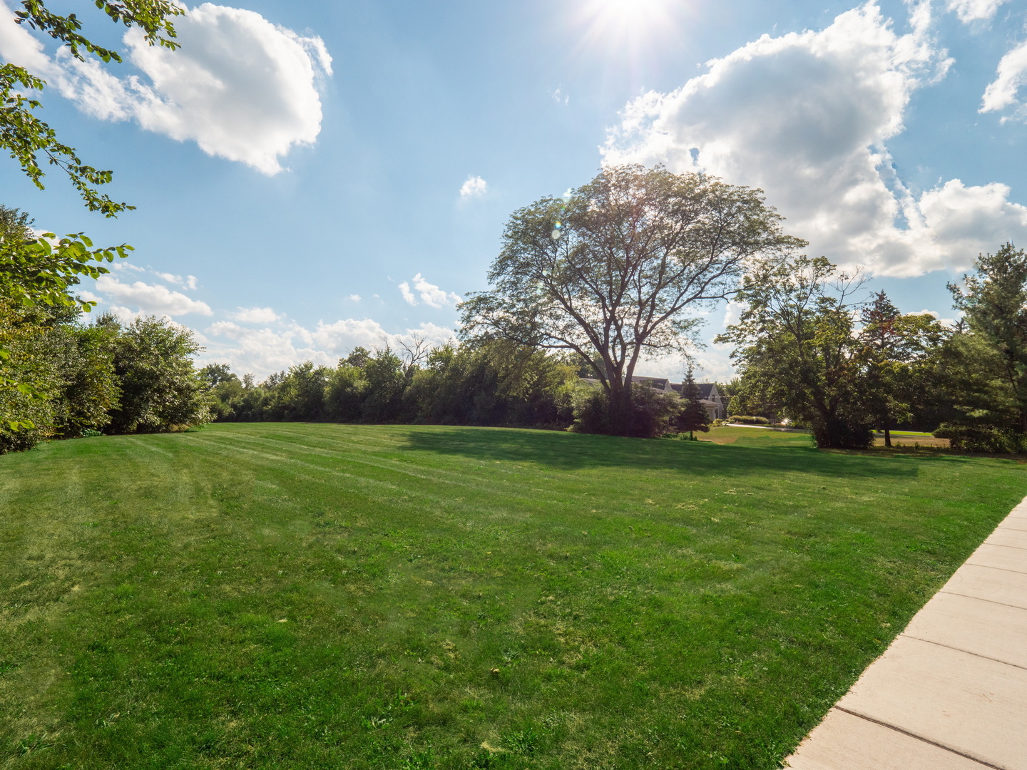 110 East Farnham Lane Wheaton, IL 60189 - Photo 11 of 17 a view of a field of grass and trees