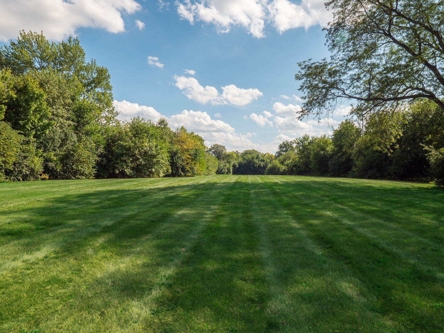 110 East Farnham Lane Wheaton, IL 60189 - Photo 13 of 17 a view of yard with green space