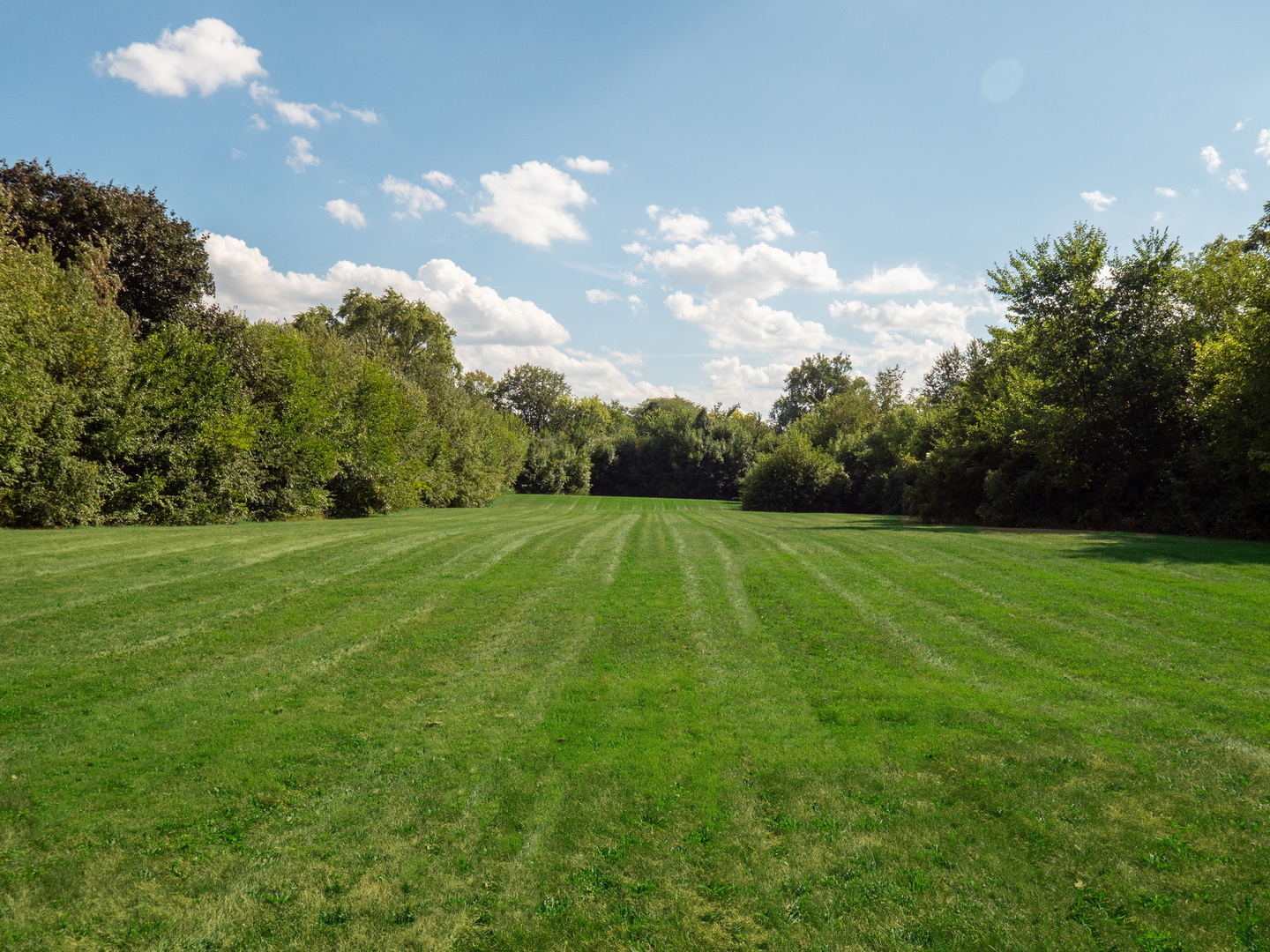 110 East Farnham Lane Wheaton, IL 60189 - Photo 14 of 17