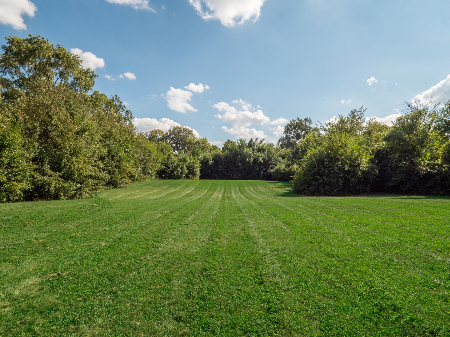 110 East Farnham Lane Wheaton, IL 60189 - Photo 15 of 17 a backyard of a house with lots of green space