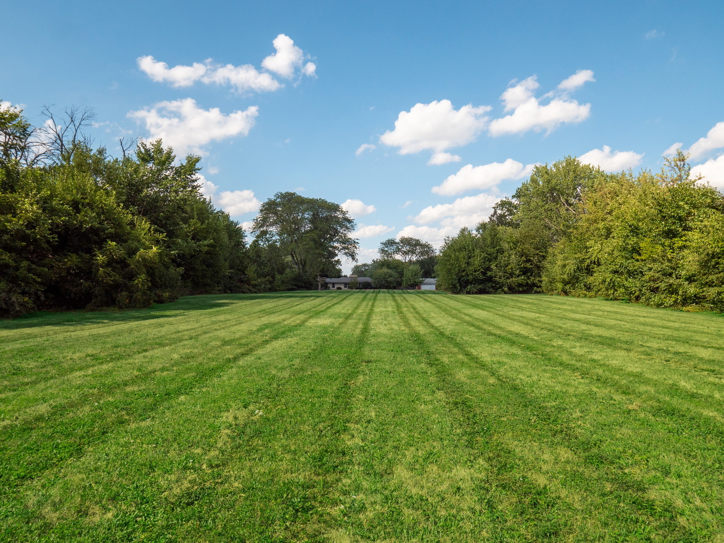 110 East Farnham Lane Wheaton, IL 60189 - Photo 16 of 17 a view of a green yard