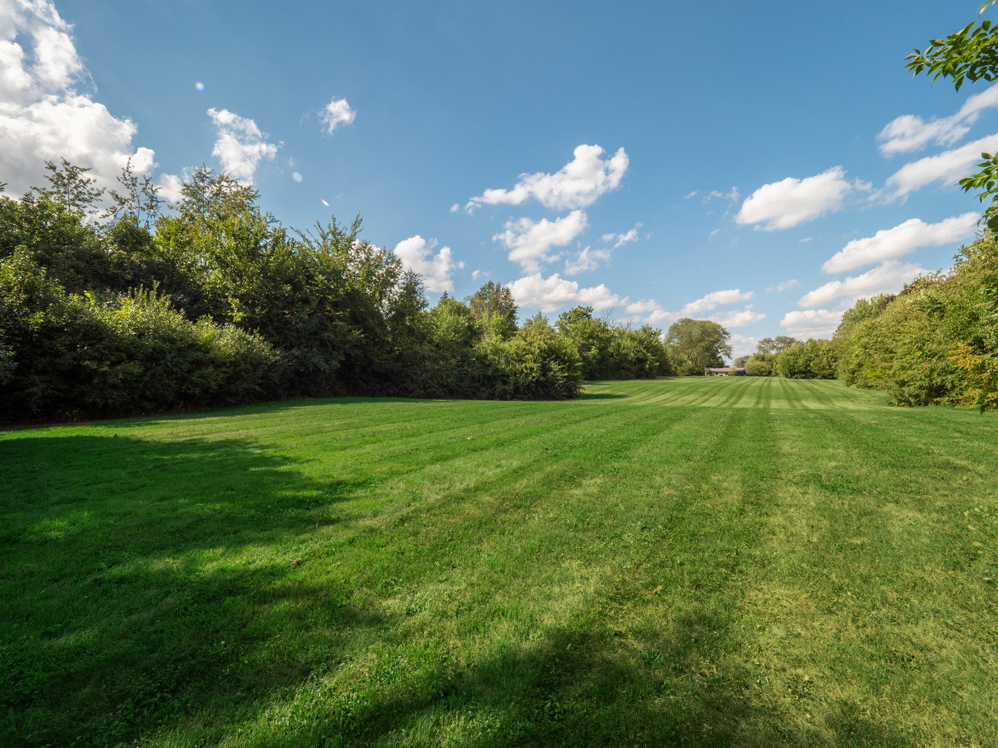 110 East Farnham Lane Wheaton, IL 60189 - Photo 17 of 17 a backyard of a house with lots of green space