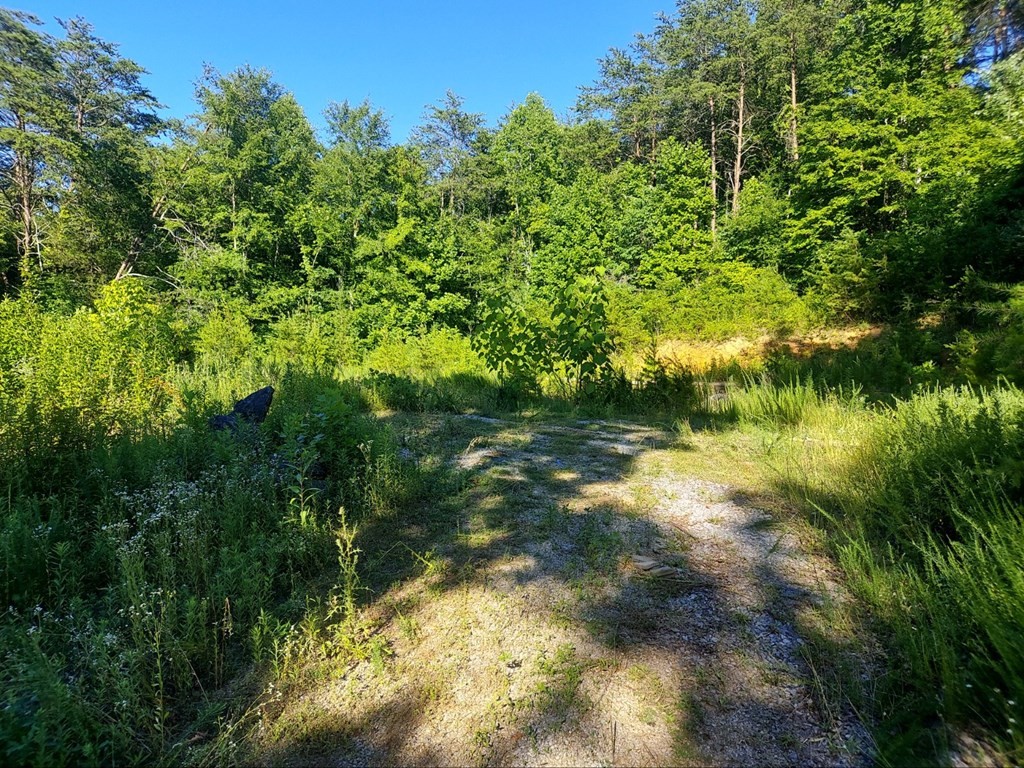 2070 Cook Mill Road Dandridge, TN 37725 - Photo 16 of 17 Gallery Image 16
