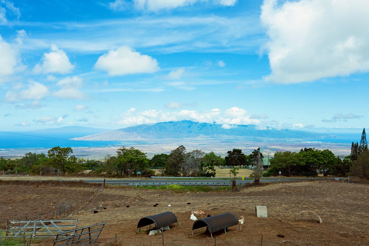 4660 Lower Kula Road Kula, HI 96790 - Photo 16 of 26