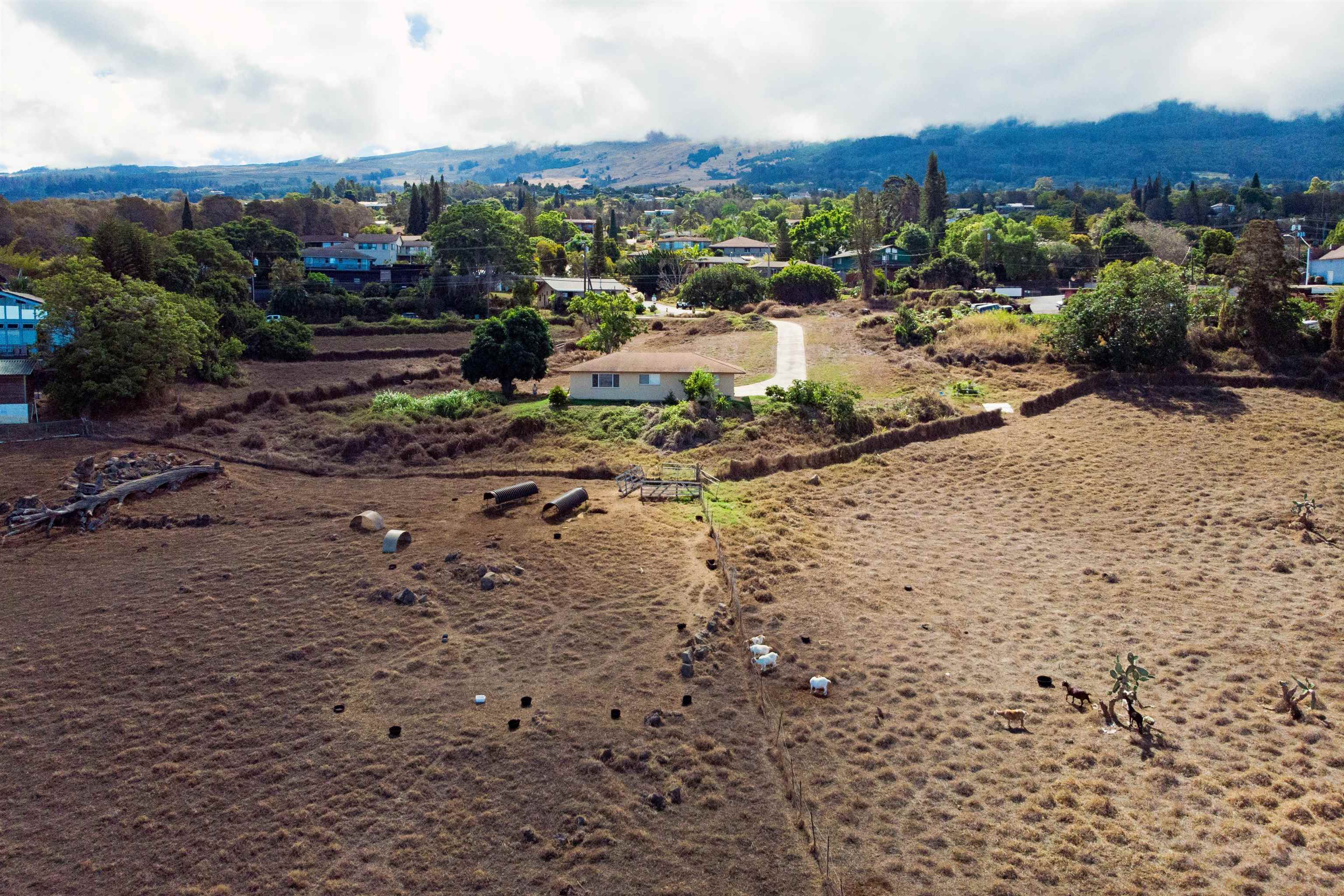 4660 Lower Kula Road Kula, HI 96790 - Photo 17 of 26