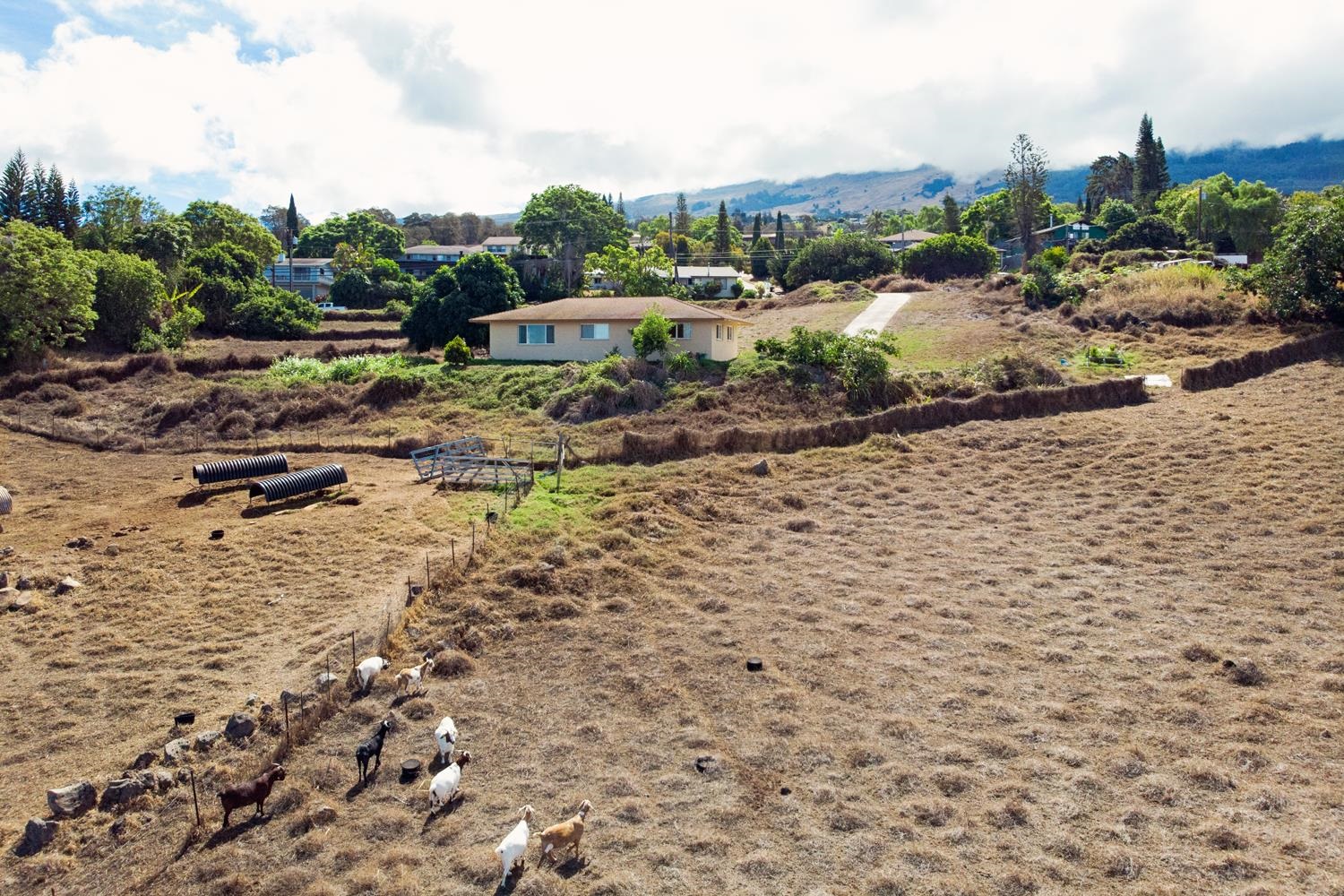 4660 Lower Kula Road Kula, HI 96790 - Photo 19 of 26