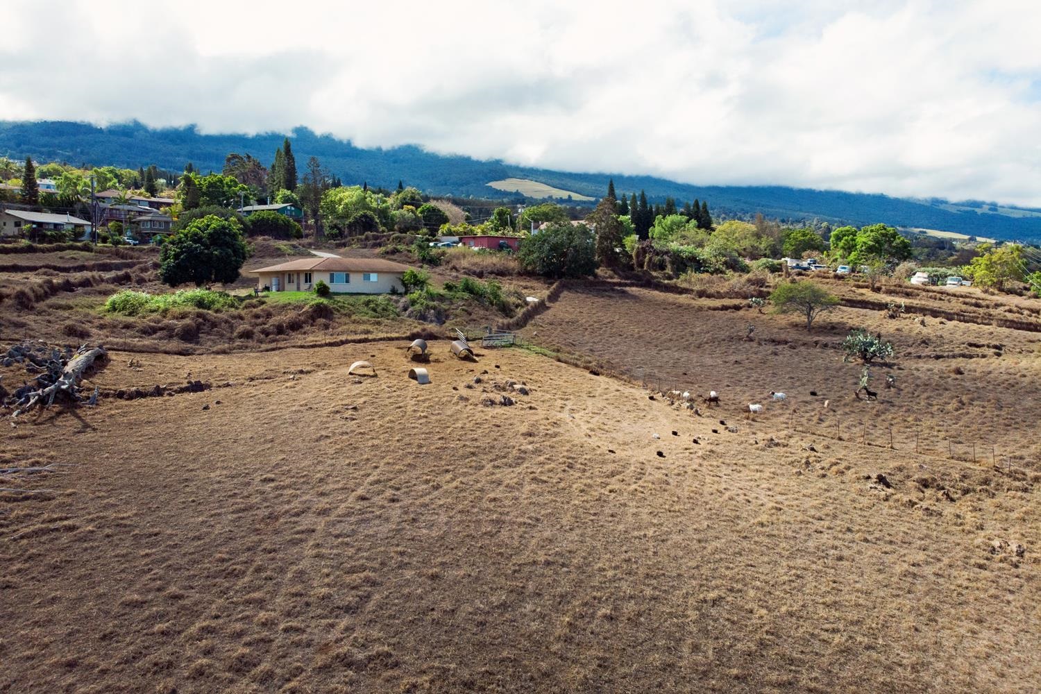 4660 Lower Kula Road Kula, HI 96790 - Photo 20 of 26