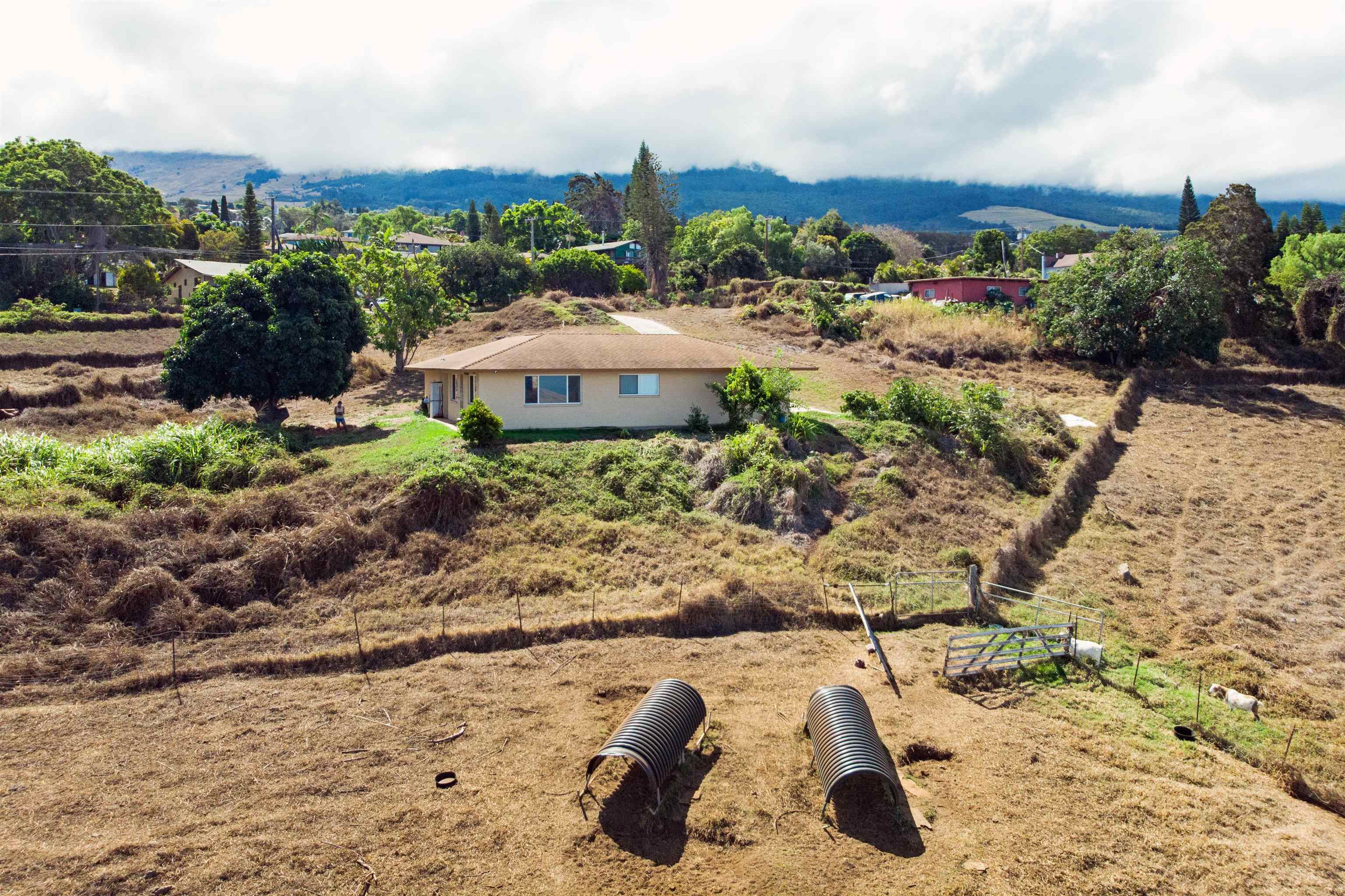 4660 Lower Kula Road Kula, HI 96790 - Photo 4 of 26