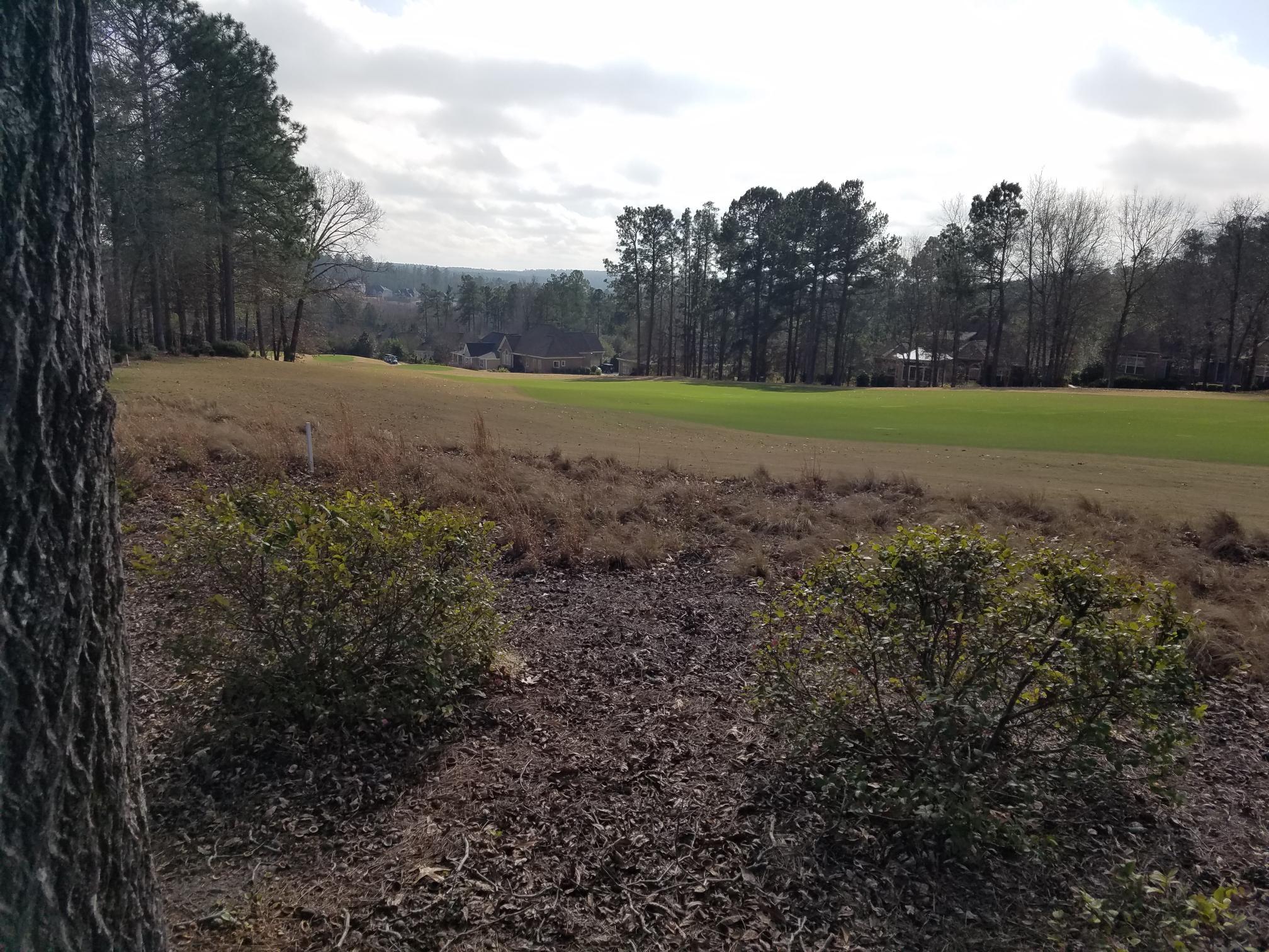 Lot 44 Foxhound Run Road Aiken, SC 29803 - Photo 2 of 2