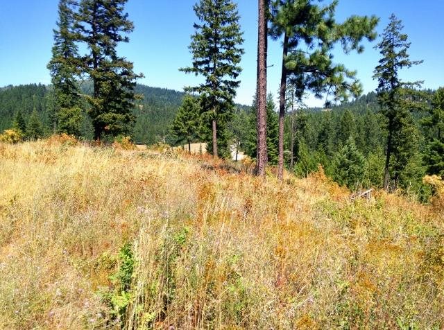 1333 Camden Road Newport, WA 99156 - Photo 2 of 3