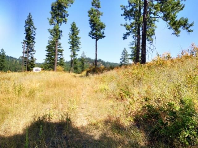 1333 Camden Road Newport, WA 99156 - Photo 3 of 3