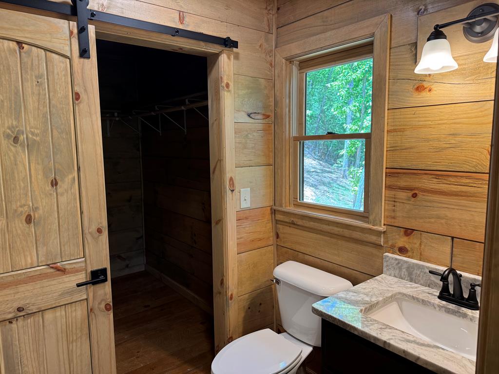 85 Moreland Trail Blue Ridge, GA 30513 - Photo 52 of 56 a bathroom with a sink a toilet and shower
