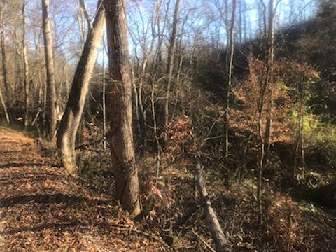 9999 House Road London, KY 40741 - Photo 1 of 5 20241113150155254193000000-o