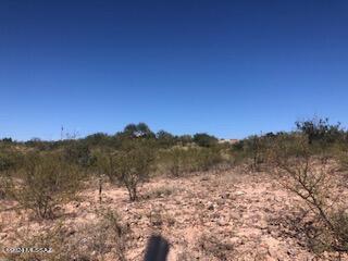 381 Del Court, Unit 16 Rio Rico, AZ 85648 - Photo 2 of 12