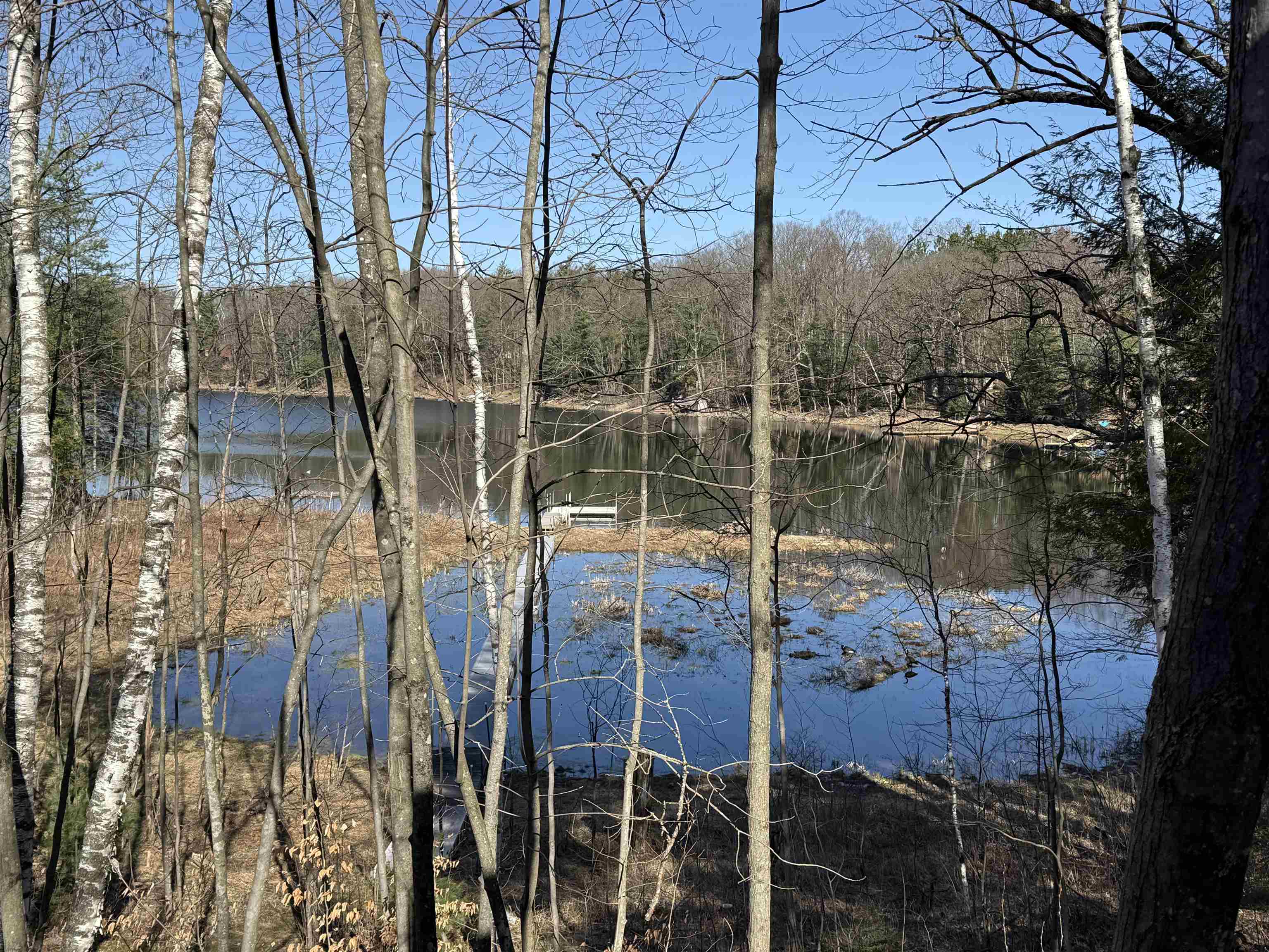 N8825 County G Road Gresham, WI 54128 - Photo 21 of 30