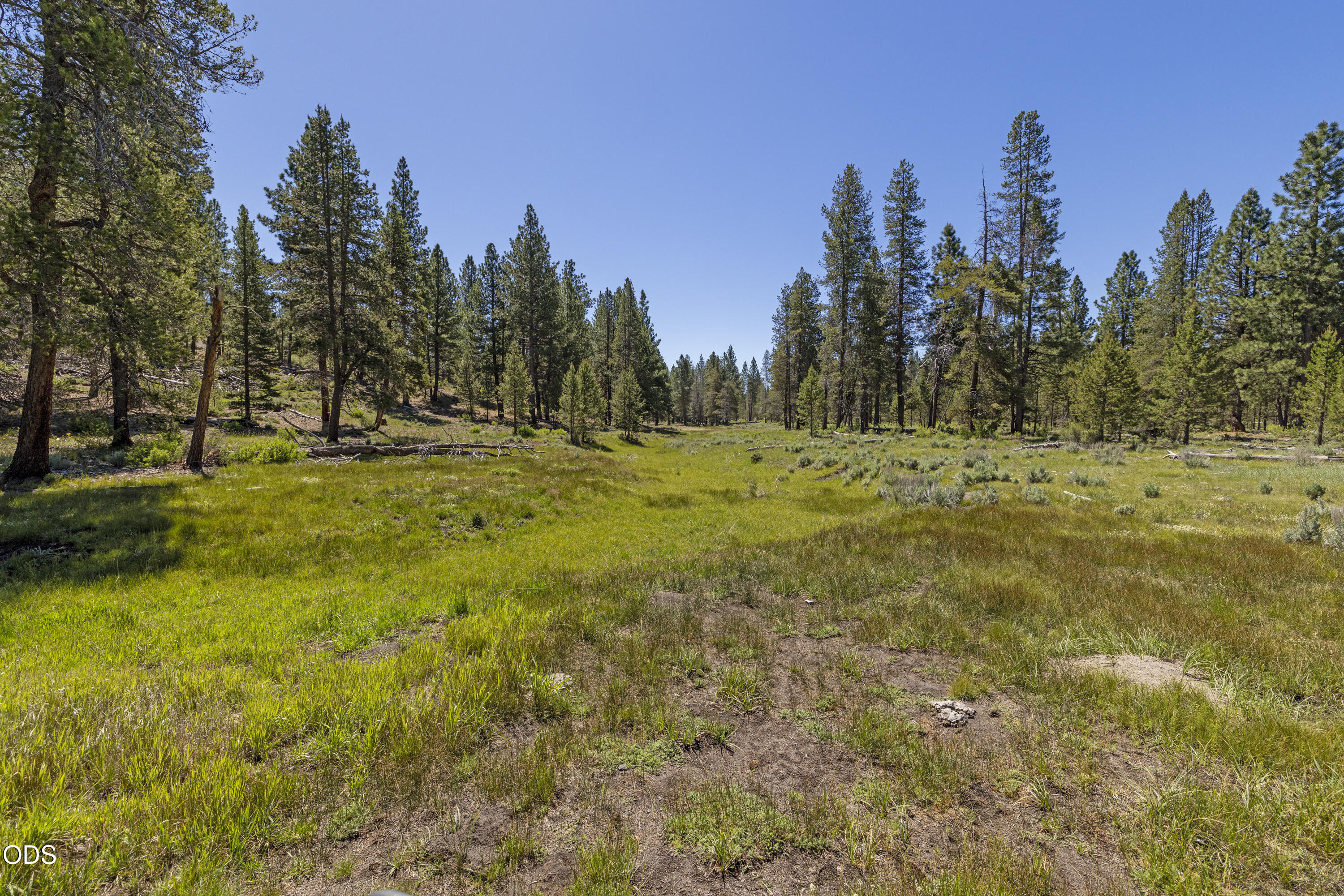 Williamson River Road, Unit 206226 Chiloquin, OR 97624 - Photo 39 of 50