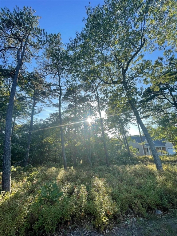 30 Sam Hollow Road Wellfleet, MA 02667 - Photo 6 of 16 a view of lake from a yard