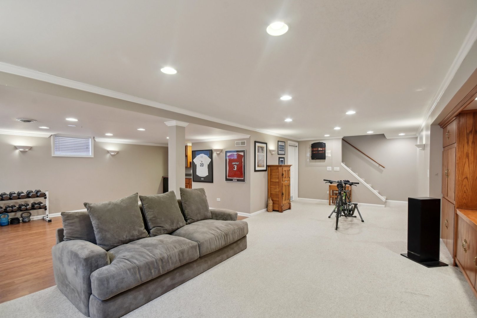 137 Split Oak Road Naperville, IL 60565 - Photo 25 of 42