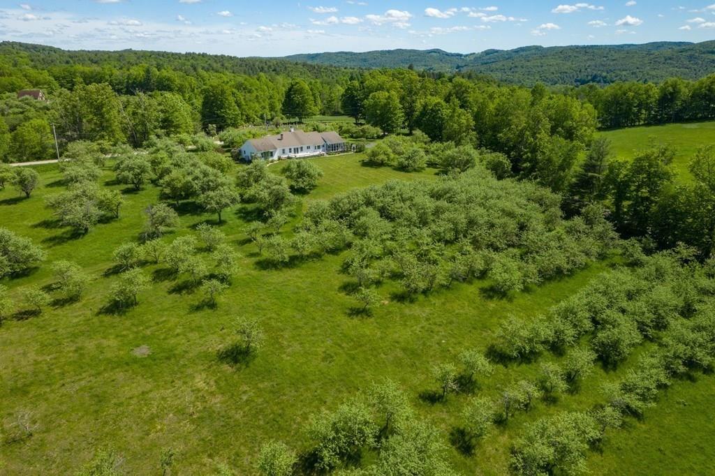 411 West Leyden Road Leyden, MA 01337 - Photo 3 of 42 a view of a lush green forest with trees and some houses