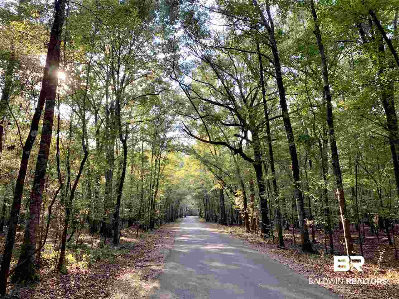 0 Holly Creek Road Stockton, AL 36579 - Photo 2 of 50