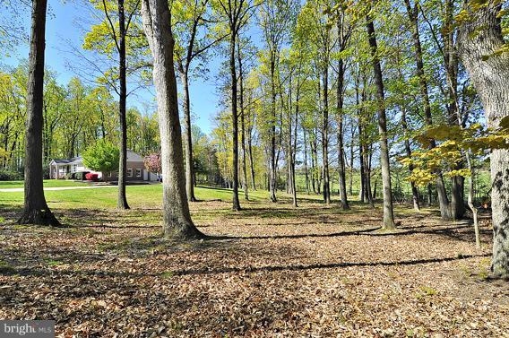 15310 Riding Stable Road Laurel, MD 20707 - Photo 12 of 27