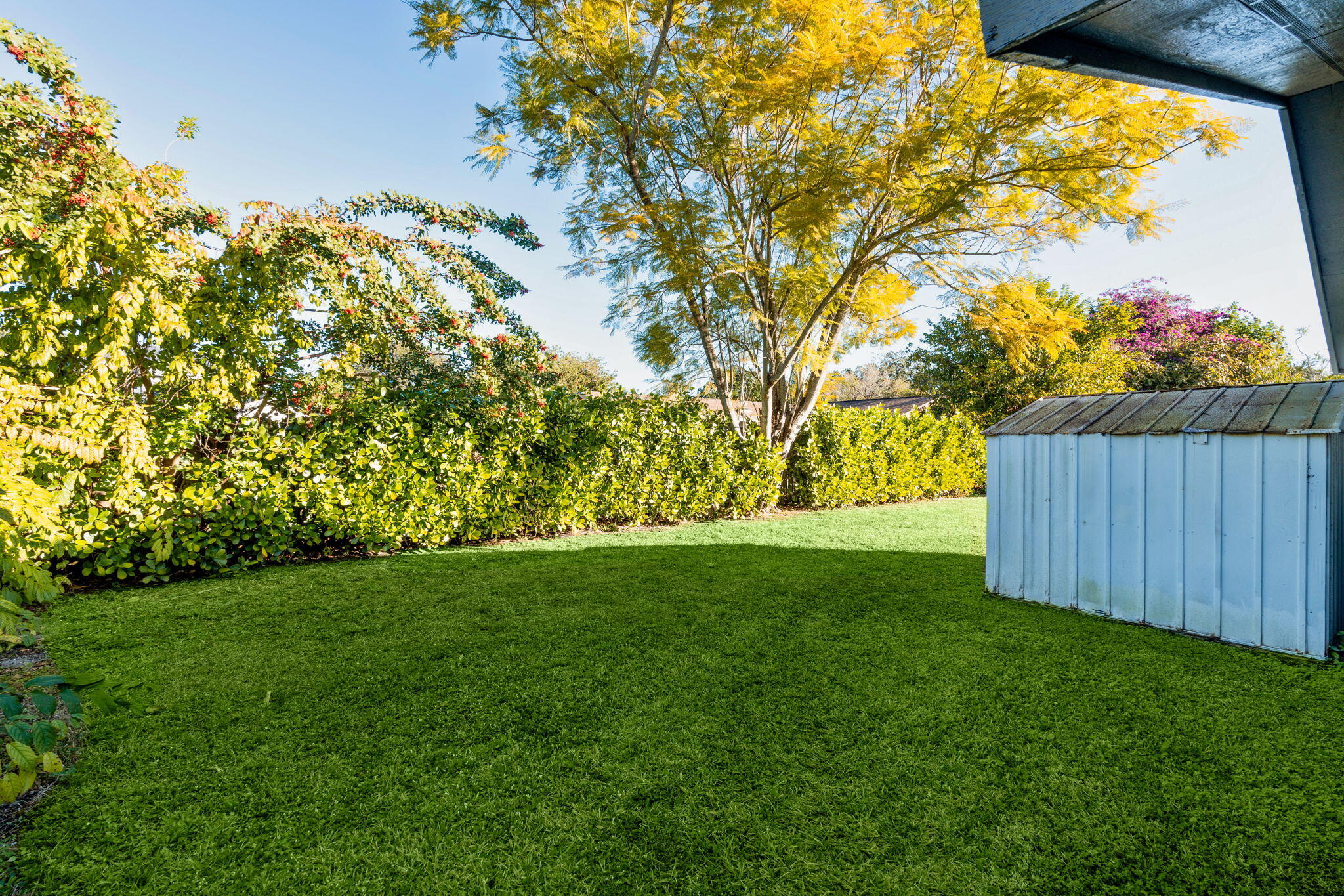 12293 Old Country Road South Wellington, FL 33414 - Photo 27 of 32 a view of a yard with an trees