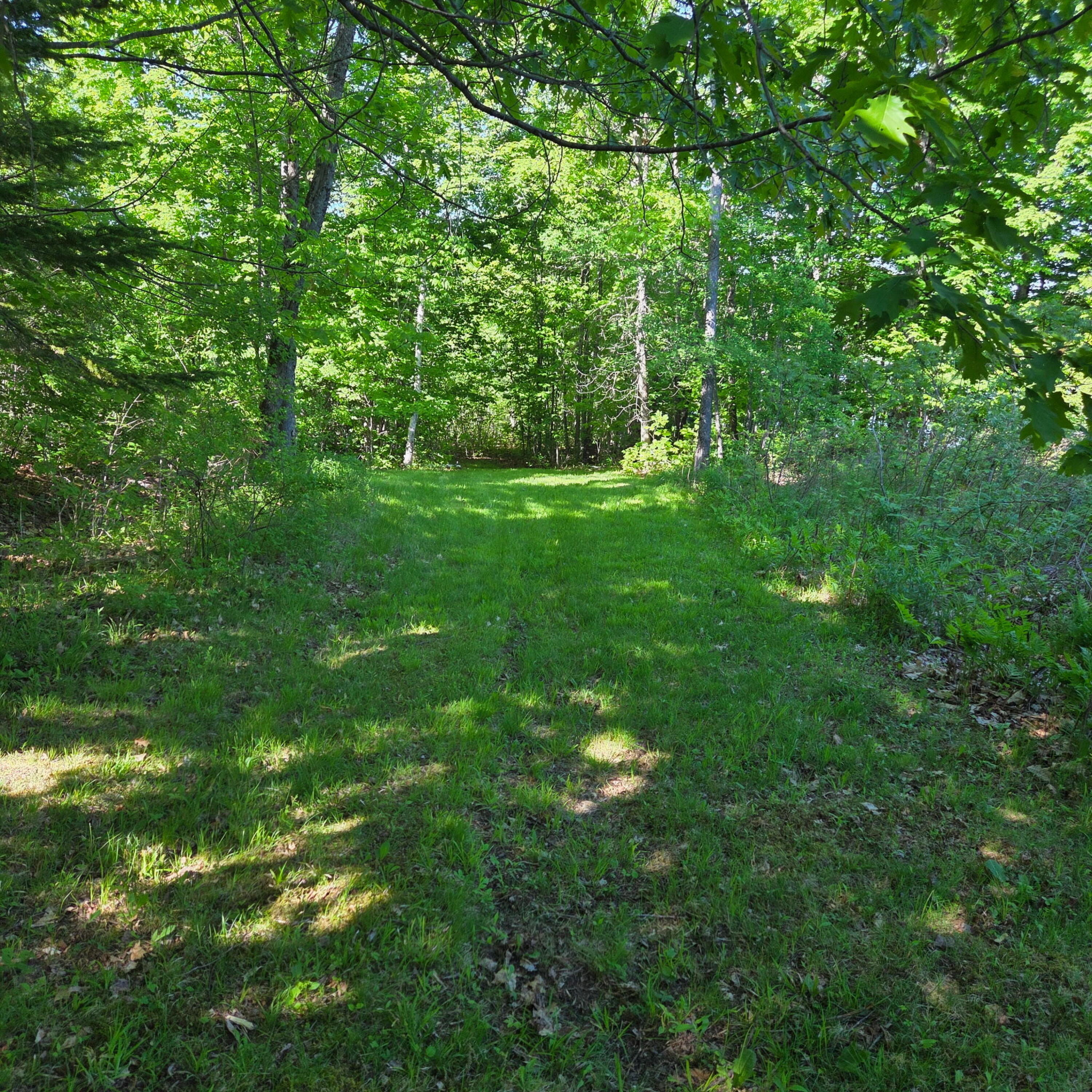 282 Pattagumpus Road Medway, ME 04460 - Photo 16 of 21 20260603_161438