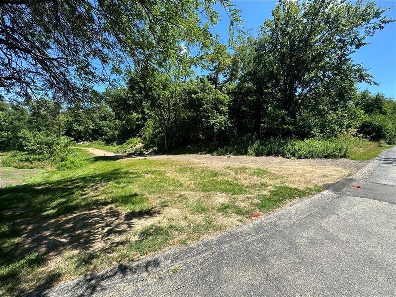 a view of an outdoor space with yard