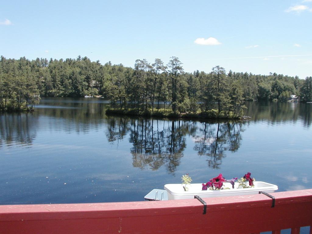 44 Nutter Island Road Wakefield, NH 03830 - Photo 2 of 12